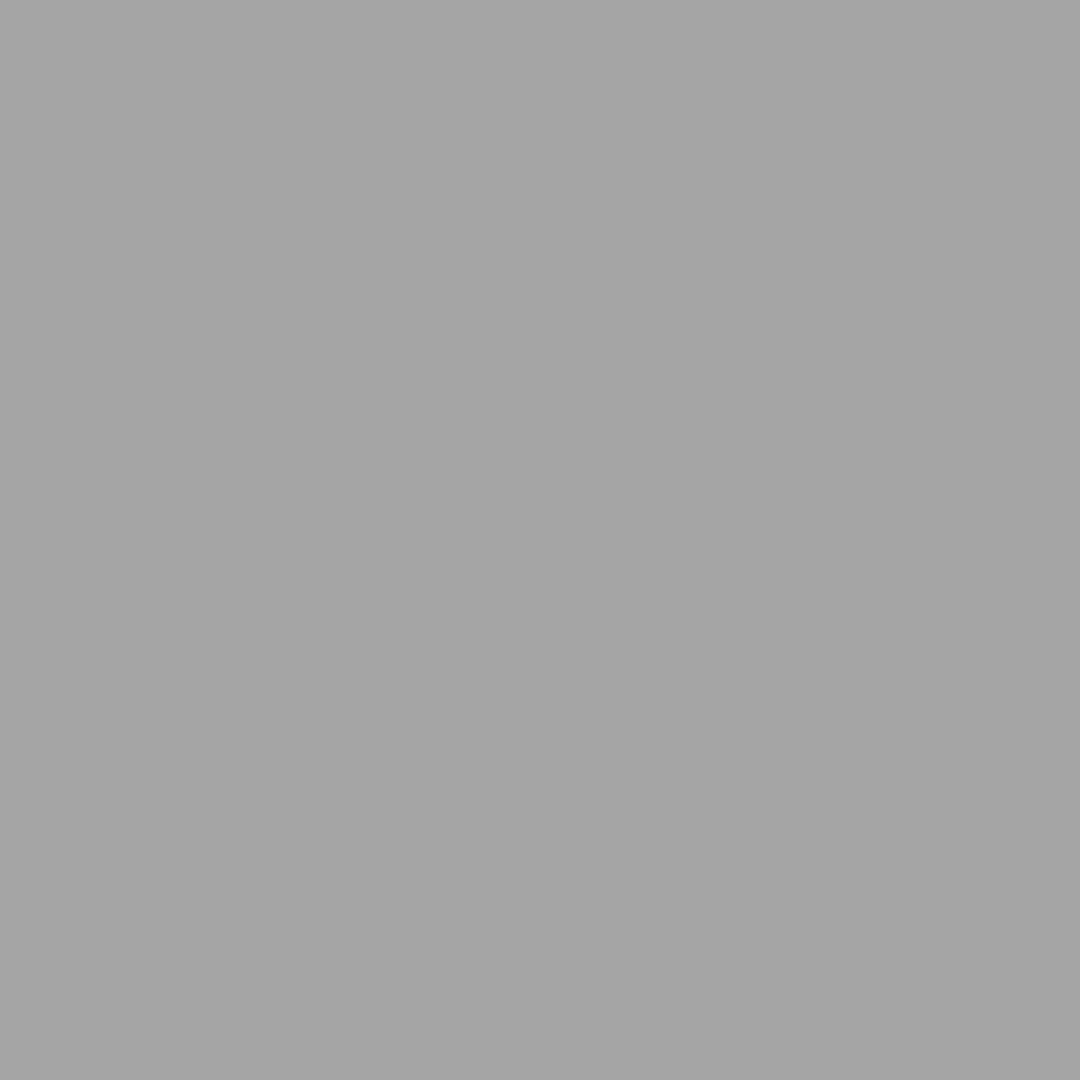 Grigio RAL 9006